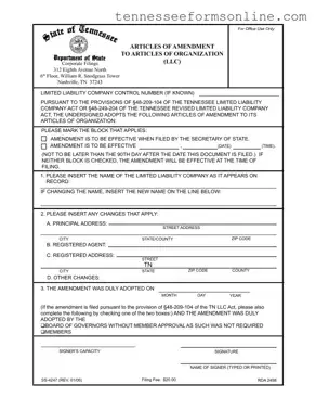 Blank Tennessee Ss 4247 PDF Form